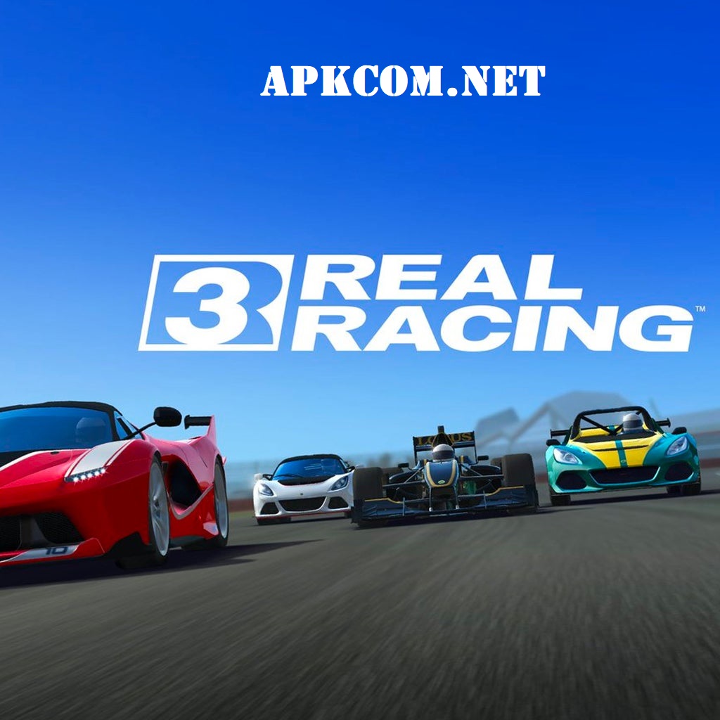 Real Race 3 APK